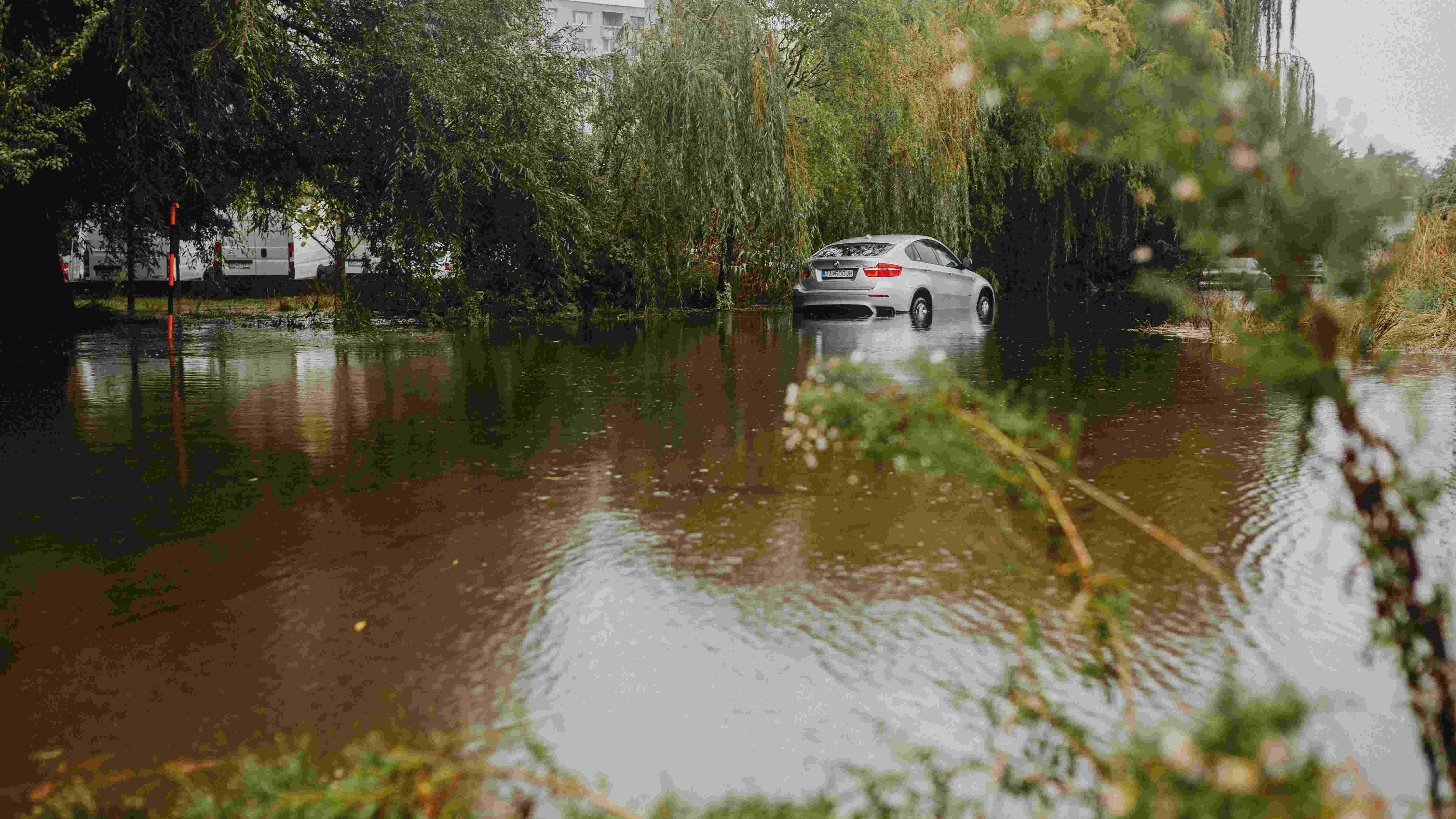 How to Check a Car for Flood Damage Before You Buy